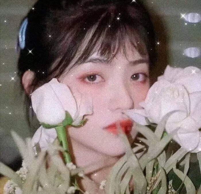 家门的荣光